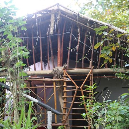 Misty Mount Resort Ella Ngoại thất bức ảnh