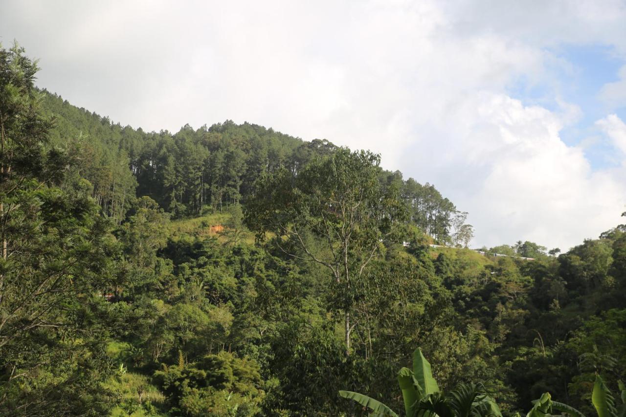 Misty Mount Resort Ella Ngoại thất bức ảnh