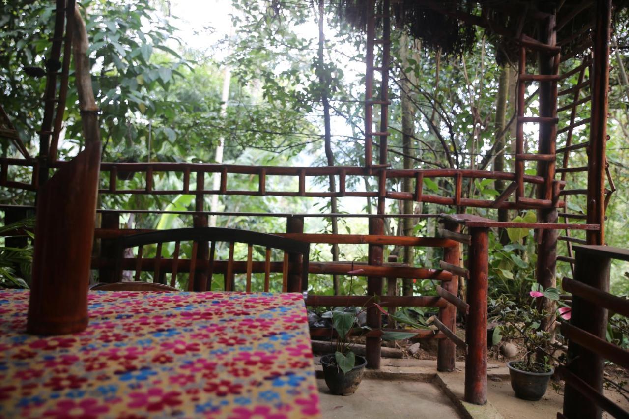Misty Mount Resort Ella Ngoại thất bức ảnh
